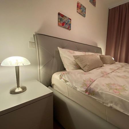 Central Apartment ティミショアラ エクステリア 写真