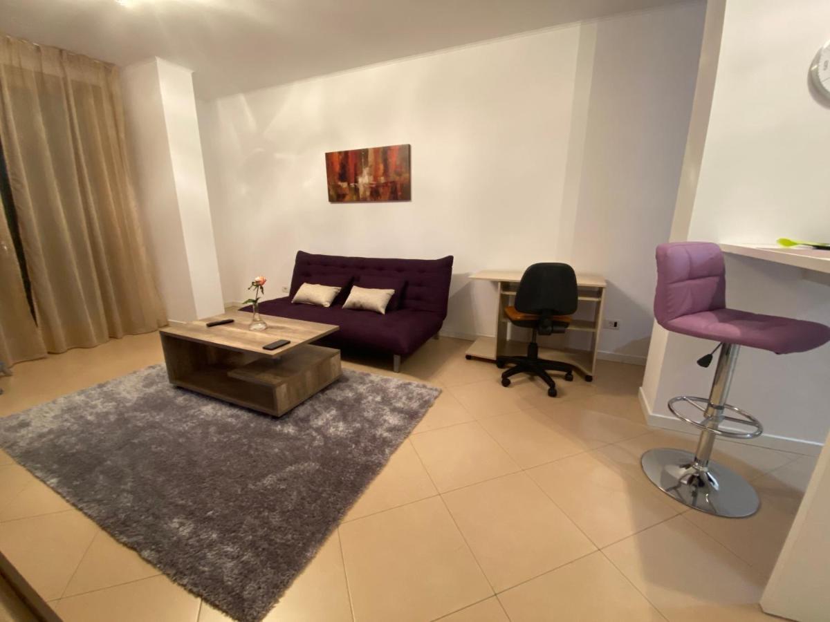 Central Apartment ティミショアラ エクステリア 写真