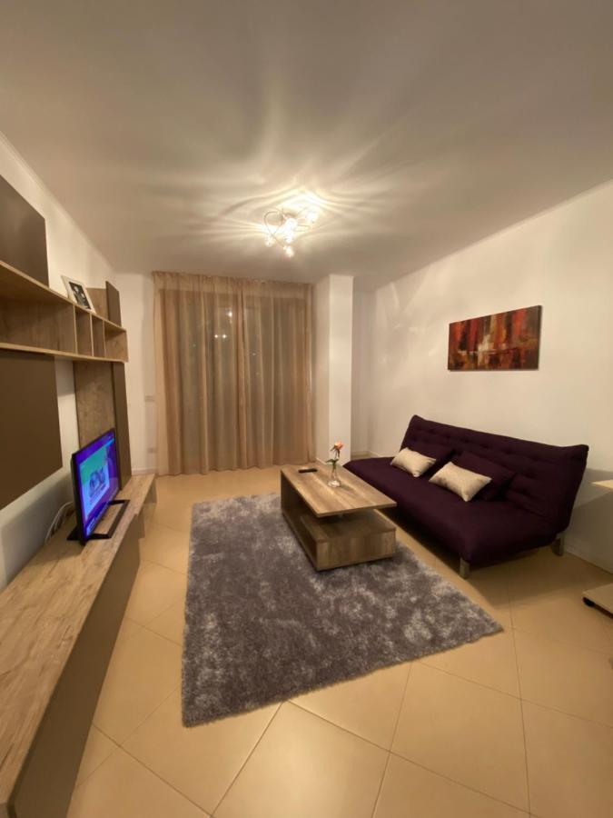 Central Apartment ティミショアラ エクステリア 写真