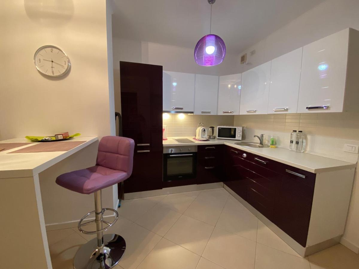 Central Apartment ティミショアラ エクステリア 写真