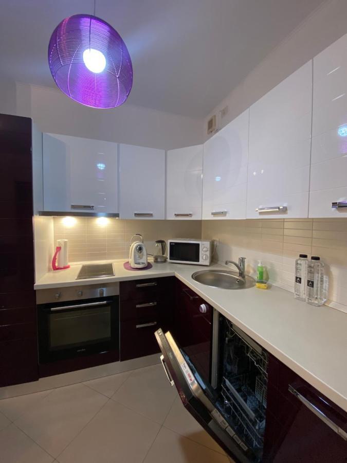 Central Apartment ティミショアラ エクステリア 写真