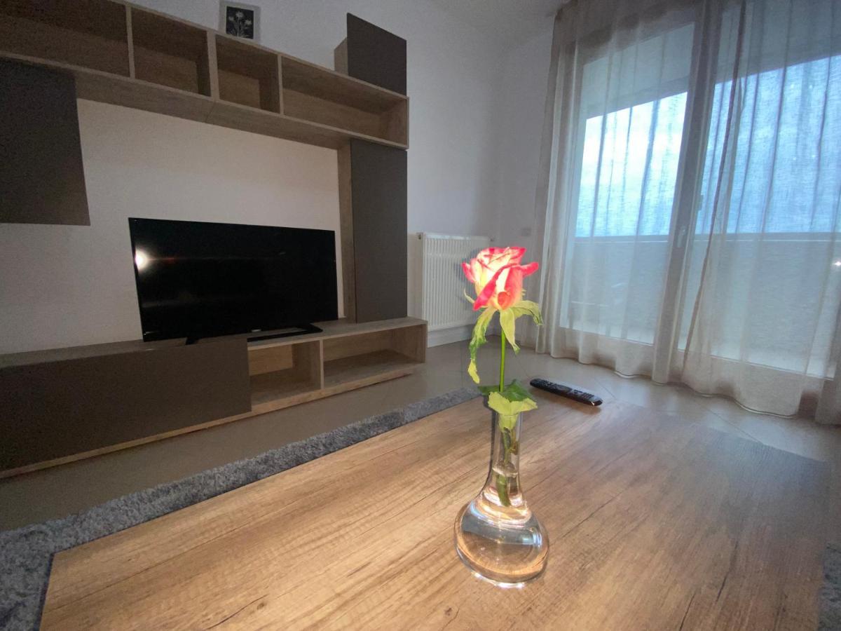 Central Apartment ティミショアラ エクステリア 写真