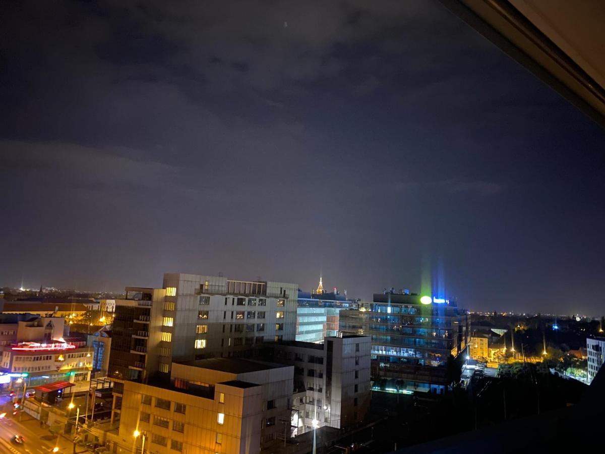 Central Apartment ティミショアラ エクステリア 写真
