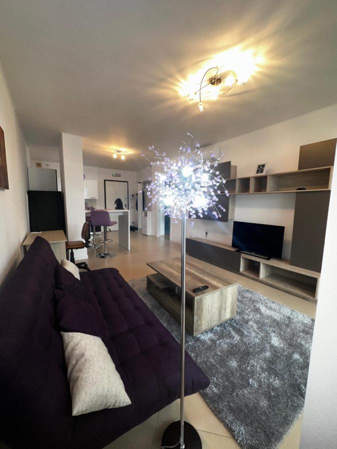 Central Apartment ティミショアラ エクステリア 写真