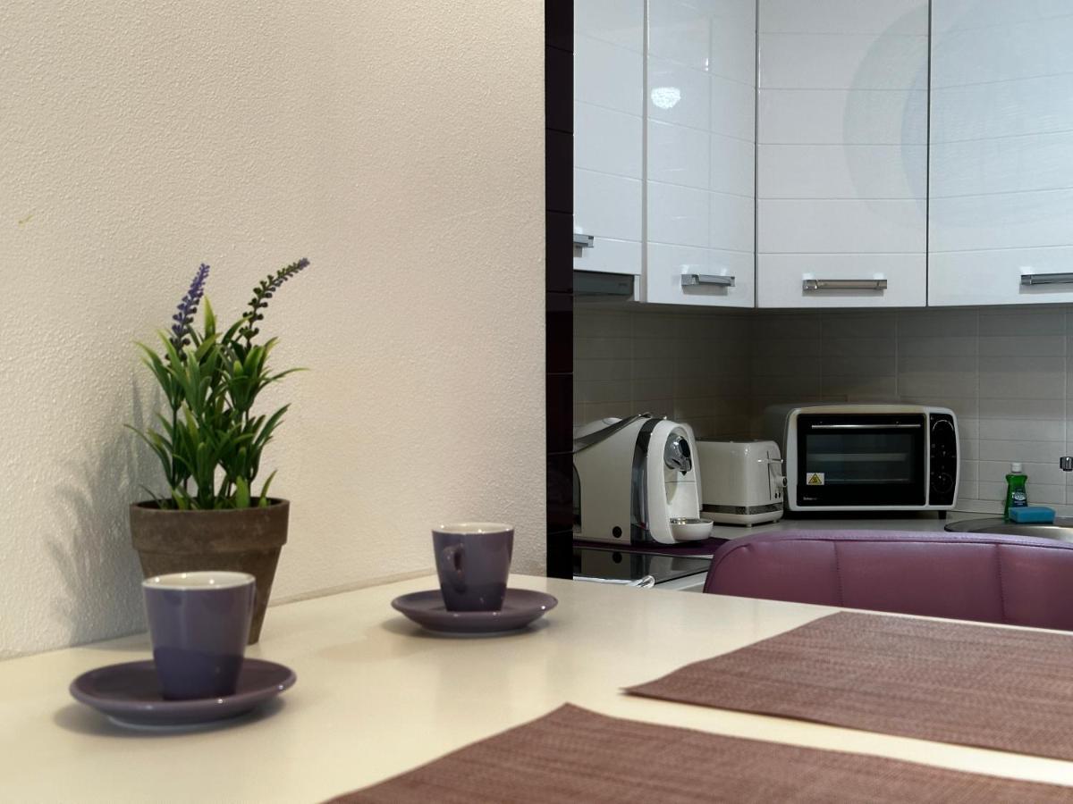 Central Apartment ティミショアラ エクステリア 写真