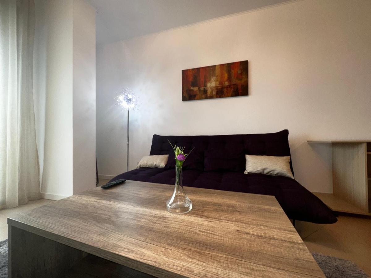 Central Apartment ティミショアラ エクステリア 写真