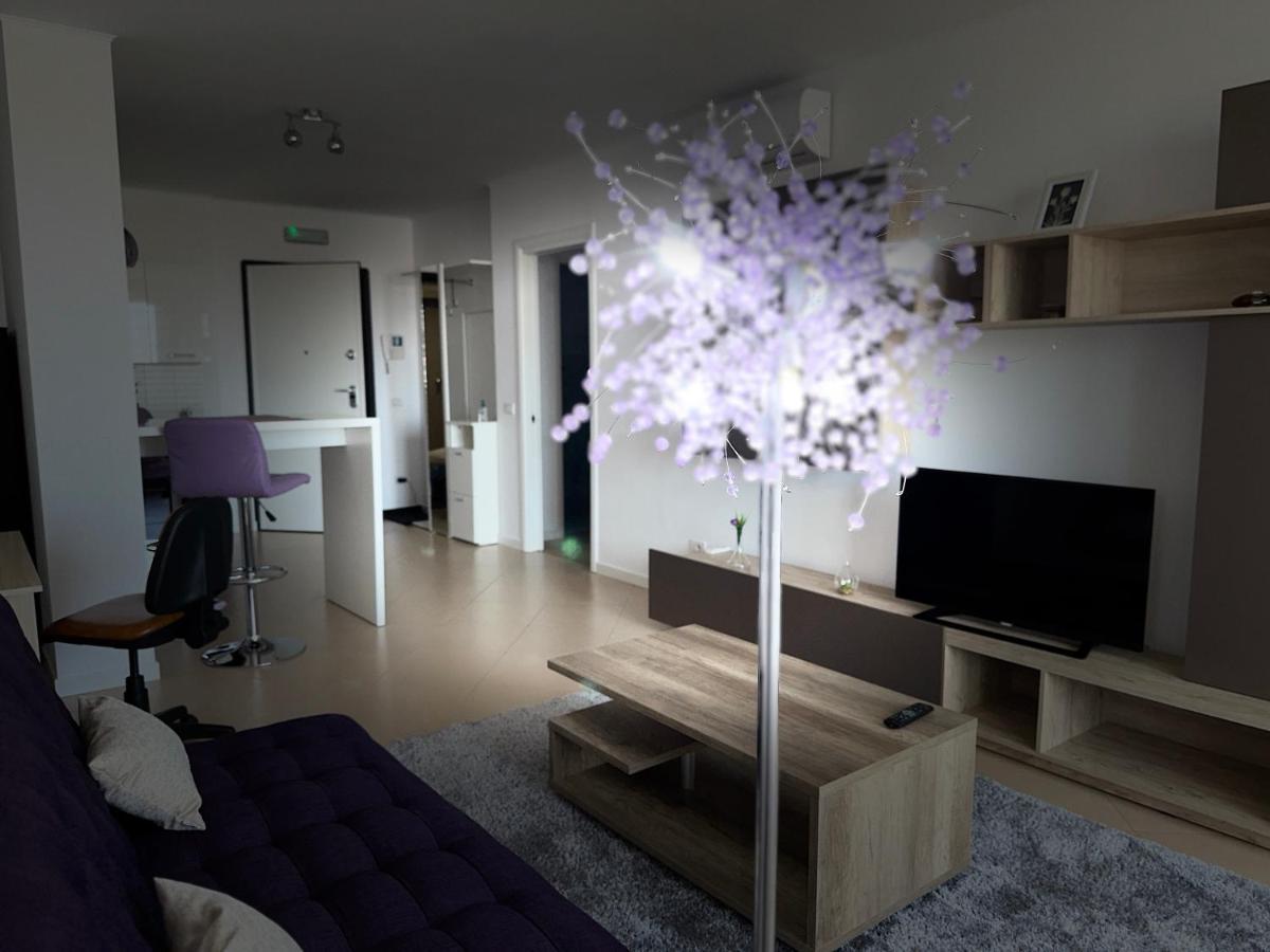 Central Apartment ティミショアラ エクステリア 写真