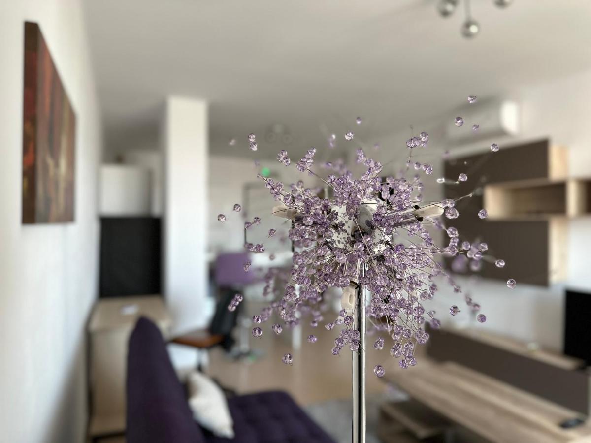 Central Apartment ティミショアラ エクステリア 写真