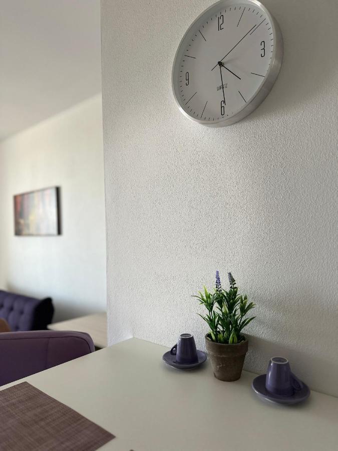 Central Apartment ティミショアラ エクステリア 写真