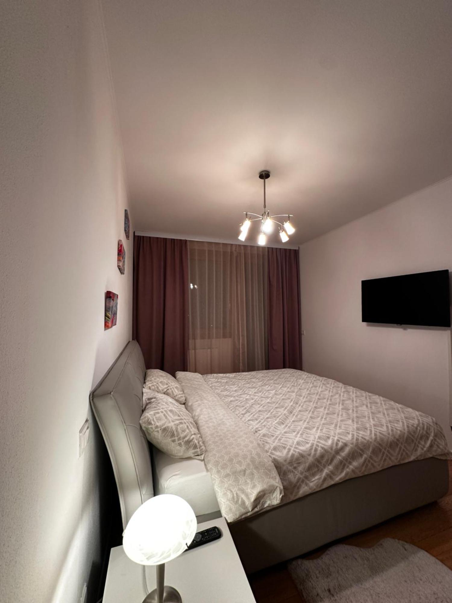 Central Apartment ティミショアラ エクステリア 写真