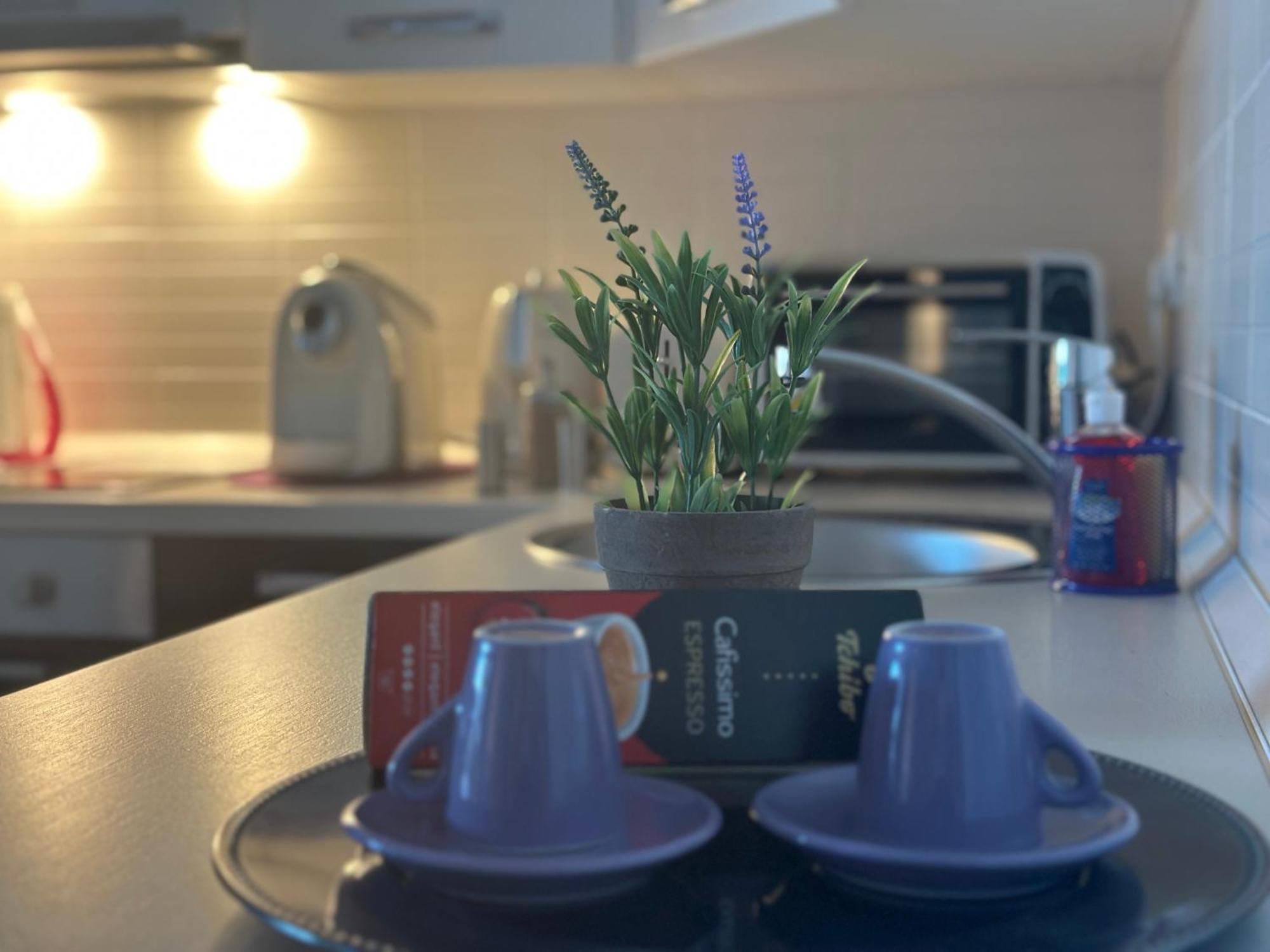 Central Apartment ティミショアラ エクステリア 写真