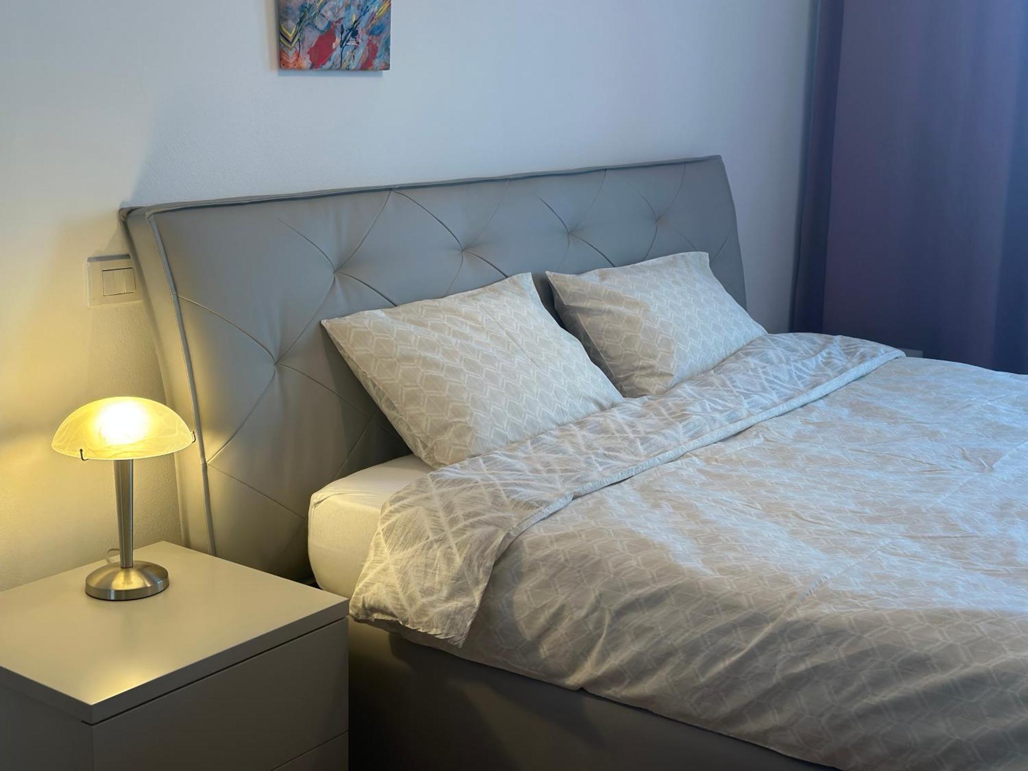 Central Apartment ティミショアラ エクステリア 写真