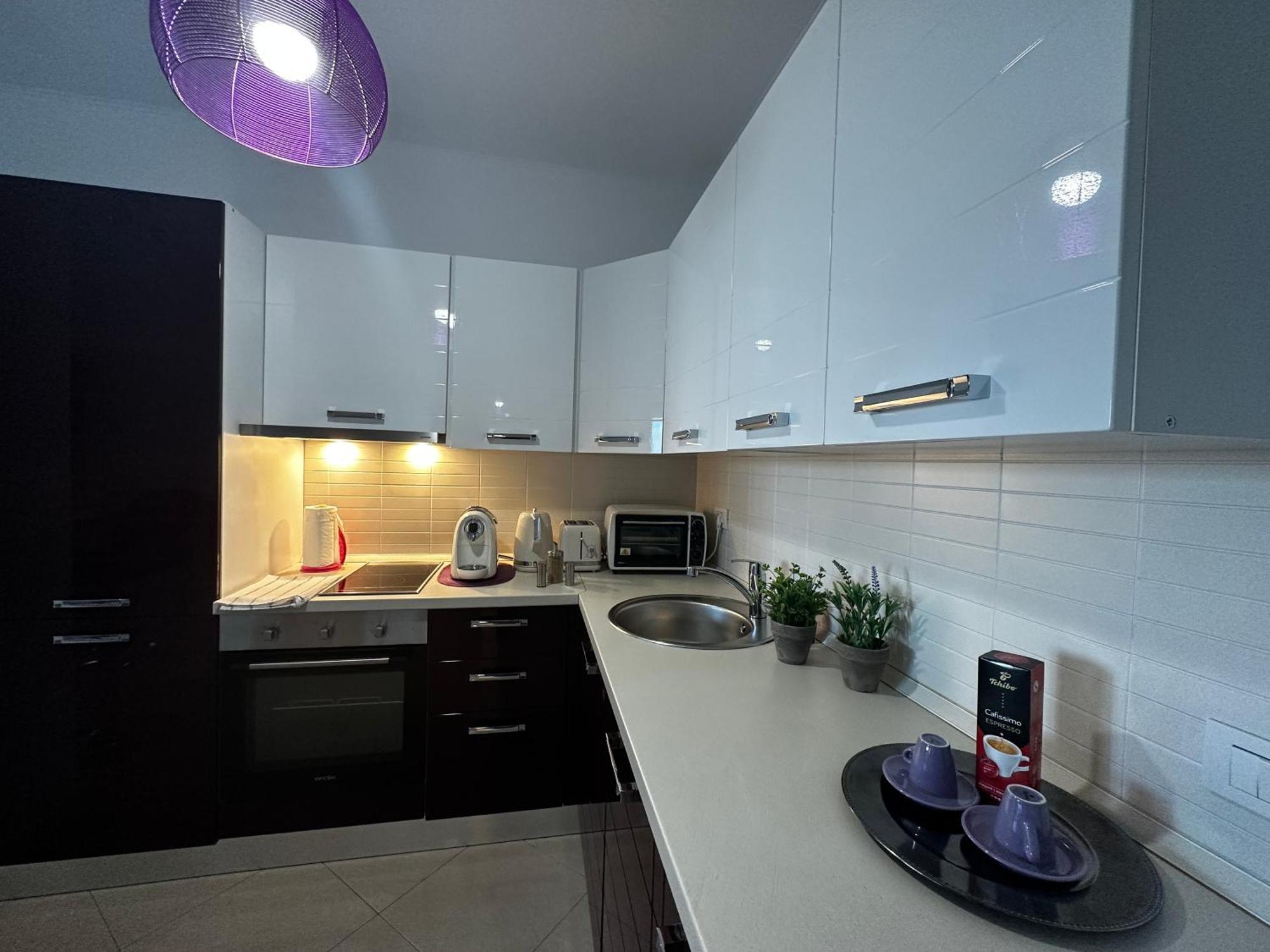 Central Apartment ティミショアラ エクステリア 写真